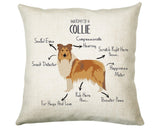 Anatomy of a Collie Funny Gift For Him Or Her Cushion Pillow Bedroom Decor STC0094