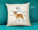 Anatomy of a Collie Funny Gift For Him Or Her Cushion Pillow Bedroom Decor STC0094