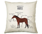 Anatomy of a Horse Pony Funny Gift For Him Or Her Cushion Pillow Bedroom Decor CS456