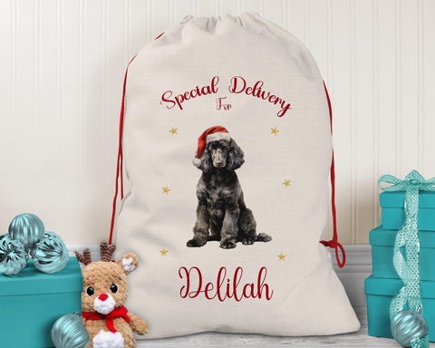 Personalised Poodle Dog Large Christmas Sack - Red Drawstring Bag for Xmas Presents - Christmas Eve Bag Box Decoration for Dogs XS138