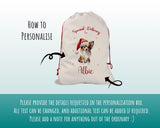 Personalised Papillon Dog Large Christmas Sack - Red Drawstring Bag for Xmas Presents - Christmas Eve Bag Box Decoration for Dogs XS134