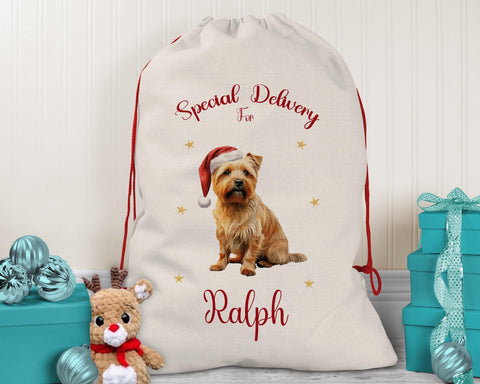 Personalised Norfolk Terrier Large Christmas Sack - Red Drawstring Bag for Xmas Presents - Christmas Eve Bag Box Decoration for Dogs XS132
