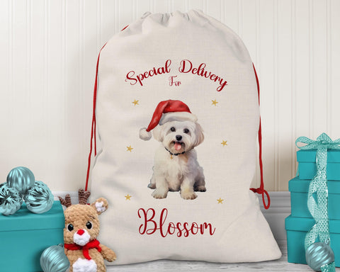 Personalised Maltese Dog Large Christmas Sack - Red Drawstring Bag for Xmas Presents - Christmas Eve Bag Box Decoration for Dogs XS129