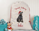 Personalised Kerry Blue Terrier Large Christmas Sack - Red Drawstring Bag for Xmas Presents Christmas Eve Bag Box Decoration for Dogs XS120