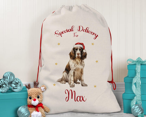 Personalised English Springer Spaniel Large Christmas Sack Drawstring Bag for Xmas Presents Christmas Eve Bag Box Decoration for Dogs XS102