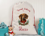 Personalised Dachshund Large Christmas Sack - Red Drawstring Bag for Xmas Presents - Christmas Eve Bag Box Decoration for Dogs XS096