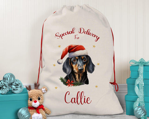 Personalised Dachshund Large Christmas Sack - Red Drawstring Bag for Xmas Presents - Christmas Eve Bag Box Decoration for Dogs XS094