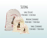 Personalised Briard Dog Large Christmas Sack - Red Drawstring Bag for Xmas Presents - Christmas Eve Bag Box Decoration for Dogs XS079