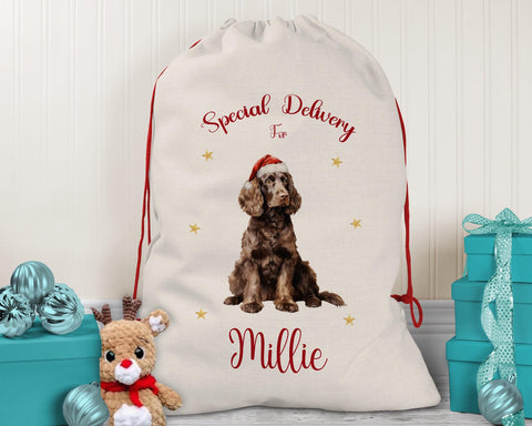 Personalised Spaniel Dog Large Christmas Sack - Red Drawstring Bag for Xmas Presents - Christmas Eve Bag Box Decoration for Dogs XS151
