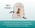 Personalised Nova Scotia Duck Tolling Retriever Large Christmas Sack - Bag for Xmas Presents Christmas Eve Bag Box Decoration for Dogs XS133