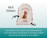 Personalised Nova Scotia Duck Tolling Retriever Large Christmas Sack - Bag for Xmas Presents Christmas Eve Bag Box Decoration for Dogs XS133