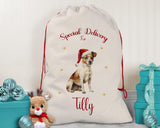 Personalised Jack Russell Dog Large Christmas Sack - Red Drawstring Bag for Xmas Presents - Christmas Eve Bag Box Decoration for Dogs XS117