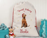 Personalised Irish Terrier Dog Large Christmas Sack - Red Drawstring Bag for Xmas Presents - Christmas Eve Bag Box Decoration for Dogs XS115
