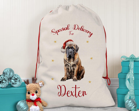 Personalised English Mastiff Large Christmas Sack - Red Drawstring Bag for Xmas Presents - Christmas Eve Bag Box Decoration for Dogs XS101