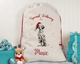 Personalised Dalmatian Large Christmas Sack - Red Drawstring Bag for Xmas Presents - Christmas Eve Bag Box Decoration for Dogs XS099