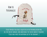 Personalised Brittany Spaniel Large Christmas Sack - Red Drawstring Bag for Xmas Presents - Christmas Eve Bag Box Decoration for Dogs XS080