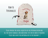 Personalised Brittany Spaniel Large Christmas Sack - Red Drawstring Bag for Xmas Presents - Christmas Eve Bag Box Decoration for Dogs XS080