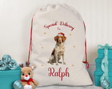 Personalised Brittany Spaniel Large Christmas Sack - Red Drawstring Bag for Xmas Presents - Christmas Eve Bag Box Decoration for Dogs XS080