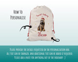 Personalised Briard Dog Large Christmas Sack - Red Drawstring Bag for Xmas Presents - Christmas Eve Bag Box Decoration for Dogs XS079