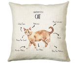Anatomy of a Cat - Funny Gift For Him Or Her Cushion Pillow Bedroom Decor SMC039