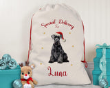 Personalised Schnauzer Dog Large Christmas Sack - Red Drawstring Bag for Xmas Presents - Christmas Eve Bag Box Decoration for Dogs XS144