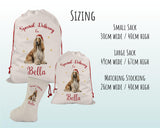 Personalised Afghan Hound Large Christmas Sack - Red Drawstring Bag for Xmas Presents - Christmas Eve Bag Box Decoration for Dogs XS065