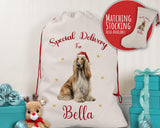 Personalised Afghan Hound Large Christmas Sack - Red Drawstring Bag for Xmas Presents - Christmas Eve Bag Box Decoration for Dogs XS065