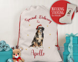 Personalised Bernese Mountain Dog Large Christmas Sack Red Drawstring Bag for Xmas Presents Christmas Eve Bag Box Decoration for Dogs XS074
