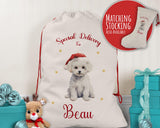 Personalised Bichon Frisé Large Christmas Sack - Red Drawstring Bag for Xmas Presents - Christmas Eve Bag Box Decoration for Dogs XS075