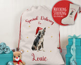 Personalised Boston Terrier Large Christmas Sack - Red Drawstring Bag for Xmas Presents - Christmas Eve Bag Box Decoration for Dogs XS077