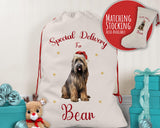 Personalised Briard Dog Large Christmas Sack - Red Drawstring Bag for Xmas Presents - Christmas Eve Bag Box Decoration for Dogs XS079