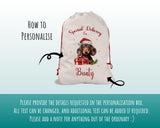 Personalised Dachshund Large Christmas Sack - Red Drawstring Bag for Xmas Presents - Christmas Eve Bag Box Decoration for Dogs XS093