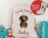Personalised Dachshund Large Christmas Sack - Red Drawstring Bag for Xmas Presents - Christmas Eve Bag Box Decoration for Dogs XS095