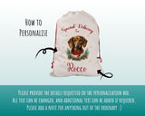 Personalised Dachshund Large Christmas Sack - Red Drawstring Bag for Xmas Presents - Christmas Eve Bag Box Decoration for Dogs XS096