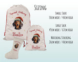 Personalised Dachshund Large Christmas Sack - Red Drawstring Bag for Xmas Presents - Christmas Eve Bag Box Decoration for Dogs XS097