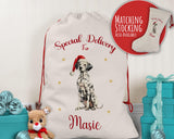 Personalised Dalmatian Large Christmas Sack - Red Drawstring Bag for Xmas Presents - Christmas Eve Bag Box Decoration for Dogs XS099