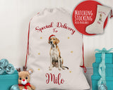 Personalised English Fox Hound Large Christmas Sack - Red Drawstring Bag for Xmas Presents - Christmas Eve Bag Box Decoration for Dogs XS100