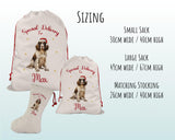 Personalised English Springer Spaniel Large Christmas Sack Drawstring Bag for Xmas Presents Christmas Eve Bag Box Decoration for Dogs XS102