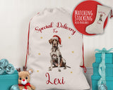 Personalised German Short Haired Pointer Large Christmas Sack Drawstring Bag for Xmas Presents Christmas Eve Bag Decoration for Dogs XS107