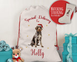 Personalised German Wire Haired Pointer Large Christmas Sack - Drawstring Bag Xmas Presents Christmas Eve Bag Box Decoration for Dogs XS108