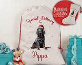 Personalised Gordon Setter Large Christmas Sack - Red Drawstring Bag for Xmas Presents - Christmas Eve Bag Box Decoration for Dogs XS110