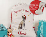 Personalised Greyhound Large Christmas Sack - Red Drawstring Bag for Xmas Presents - Christmas Eve Bag Box Decoration for Dogs XS112