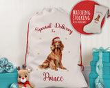 Personalised Irish Setter Large Christmas Sack - Red Drawstring Bag for Xmas Presents - Christmas Eve Bag Box Decoration for Dogs XS115