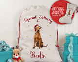 Personalised Irish Terrier Dog Large Christmas Sack - Red Drawstring Bag for Xmas Presents - Christmas Eve Bag Box Decoration for Dogs XS114