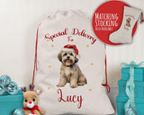 Personalised Lhasa Apso Dog Large Christmas Sack - Red Drawstring Bag for Xmas Presents - Christmas Eve Bag Box Decoration for Dogs XS128