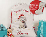 Personalised Maltese Dog Large Christmas Sack - Red Drawstring Bag for Xmas Presents - Christmas Eve Bag Box Decoration for Dogs XS129