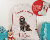 Personalised Newfoundland Dog Large Christmas Sack - Red Drawstring Bag for Xmas Presents - Christmas Eve Bag Box Decoration for Dogs XS131