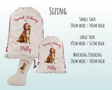 Personalised Nova Scotia Duck Tolling Retriever Large Christmas Sack - Bag for Xmas Presents Christmas Eve Bag Box Decoration for Dogs XS133