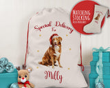 Personalised Nova Scotia Duck Tolling Retriever Large Christmas Sack - Bag for Xmas Presents Christmas Eve Bag Box Decoration for Dogs XS133