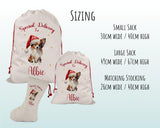 Personalised Papillon Dog Large Christmas Sack - Red Drawstring Bag for Xmas Presents - Christmas Eve Bag Box Decoration for Dogs XS134